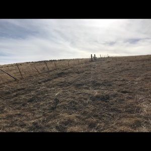 Meet your Posher, Jon